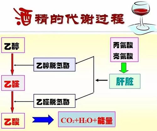 固态法白酒工艺流程，固态法白酒工艺特点是什么