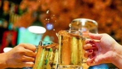 炒菜放白酒还是放啤酒好，炒菜放白酒还是料酒