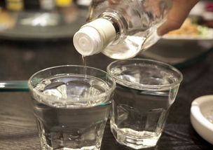 做菜高度白酒和啤酒哪个好，做菜放啤酒和白酒的区别